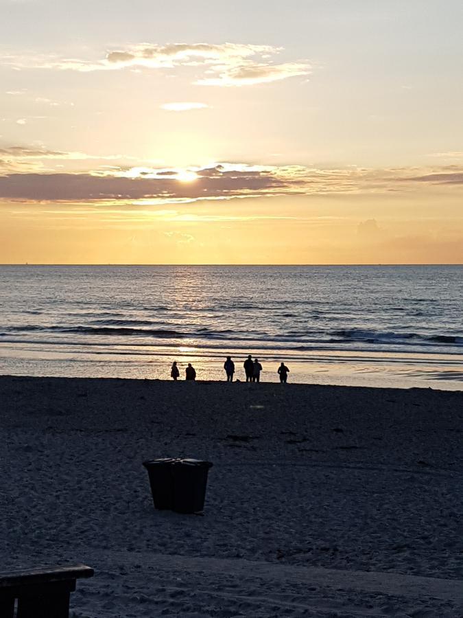 B&B Duinroos De Koog - Texel Exteriör bild